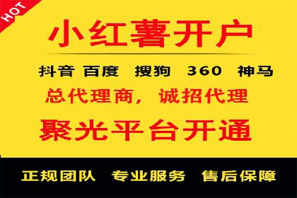 竞价托管成功案例：如何选择合适的托管方案？